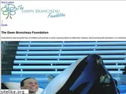 Sites similar to dawnsfoundation.org