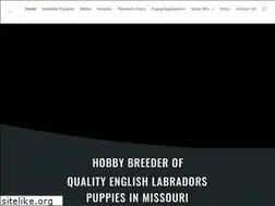 Sites similar to dawsonlabs.com