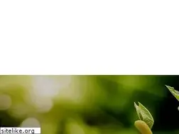 Sites similar to dayasepehr.com