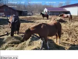 Sites similar to daydreamsfarm.com