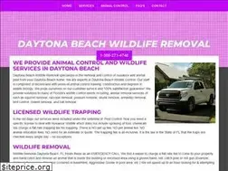 Sites similar to daytonabeachwildliferemoval.com