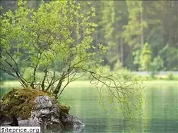 Sites similar to dbs-spiewak.de