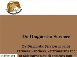 Sites similar to ddiagnosticservices.com