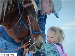 Sites similar to ddperformancehorses.com