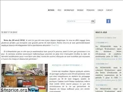 Sites similar to de-bric-et-de-broc.fr