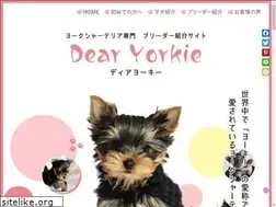 Sites similar to dearyorkie.com