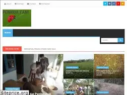 Sites similar to debbyeka.blogspot.com