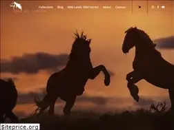 Sites similar to debleecarson.com