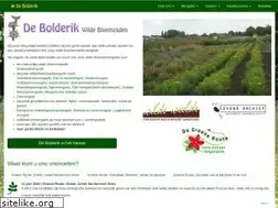 Sites similar to debolderik.net