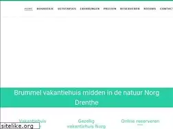 Sites similar to debrummel.nl