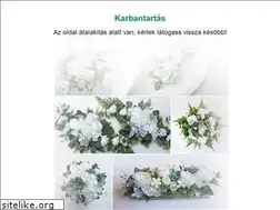 Sites similar to decoflor.hu