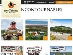 Sites similar to decrochezcommejamais.com