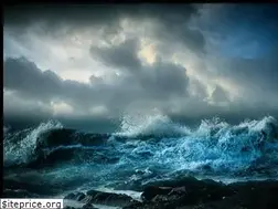 Sites similar to deep-blue-sea.net