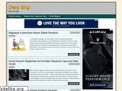 Sites similar to deepbilgi.com