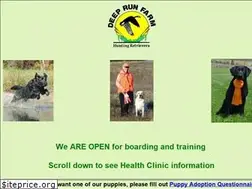 Sites similar to deeprunretrievers.com