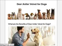 Sites similar to deerantlervelvetfordogs.com