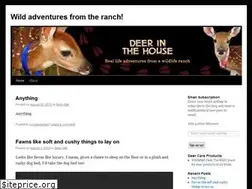 Sites similar to deerinthehouse.wordpress.com