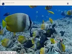 Sites similar to deevaoceanfield.jp