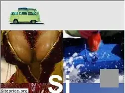 Sites similar to defiestaenamerica.com