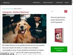 Sites similar to degoldenretriever.nl