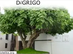 Sites similar to degrigo.eu