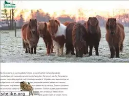 Sites similar to degroenkamp.nl