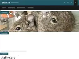 Sites similar to degu-base.com