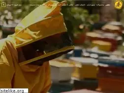 Sites similar to dehchi.com