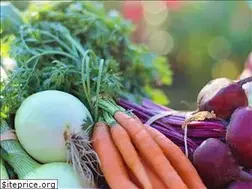 Sites similar to dehydratesinc.com