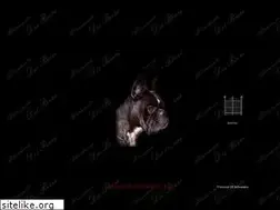 Sites similar to deiroeri.com