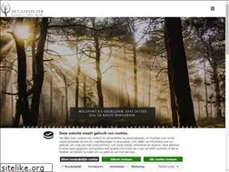 Sites similar to delaatsteeermarkelo.nl