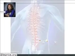 Sites similar to delacruzchiropractic.net