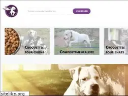Sites similar to delangeldelosvolcanos.com