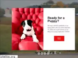 Sites similar to deliciousbullterriers.com