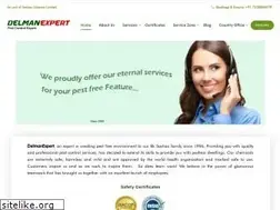 Sites similar to delmanexpert.com