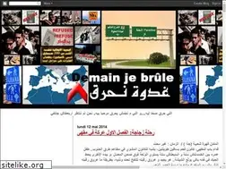 Sites similar to demain-je-brule.blogspot.com