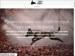 Sites similar to demaindemaitre.ca