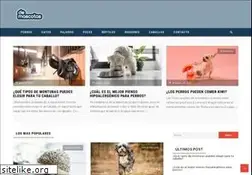 Sites similar to demascotas.info