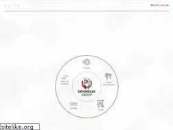 Sites similar to demirbilekgroup.com