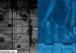 Sites similar to demirden.com