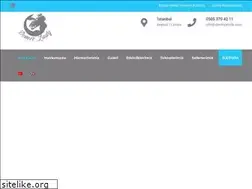 Sites similar to demiryatcilik.com
