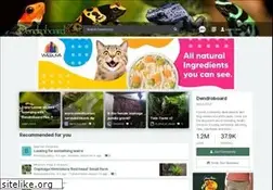 Sites similar to dendroboard.com