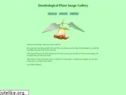 Sites similar to dendroimage.de
