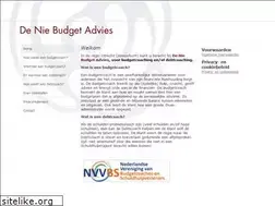 Sites similar to deniebudgetadvies.nl