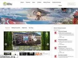 Sites similar to denizlieczaciodasi.org.tr