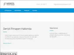 Sites similar to denizlipimapen.com