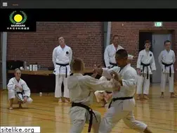 Sites similar to denmarkkarate.com