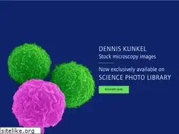 Sites similar to denniskunkel.com