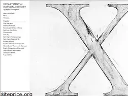 Sites similar to departmentofnaturalhistory.com