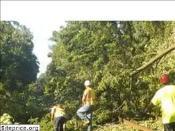 Sites similar to dependablelandmaintenance.com